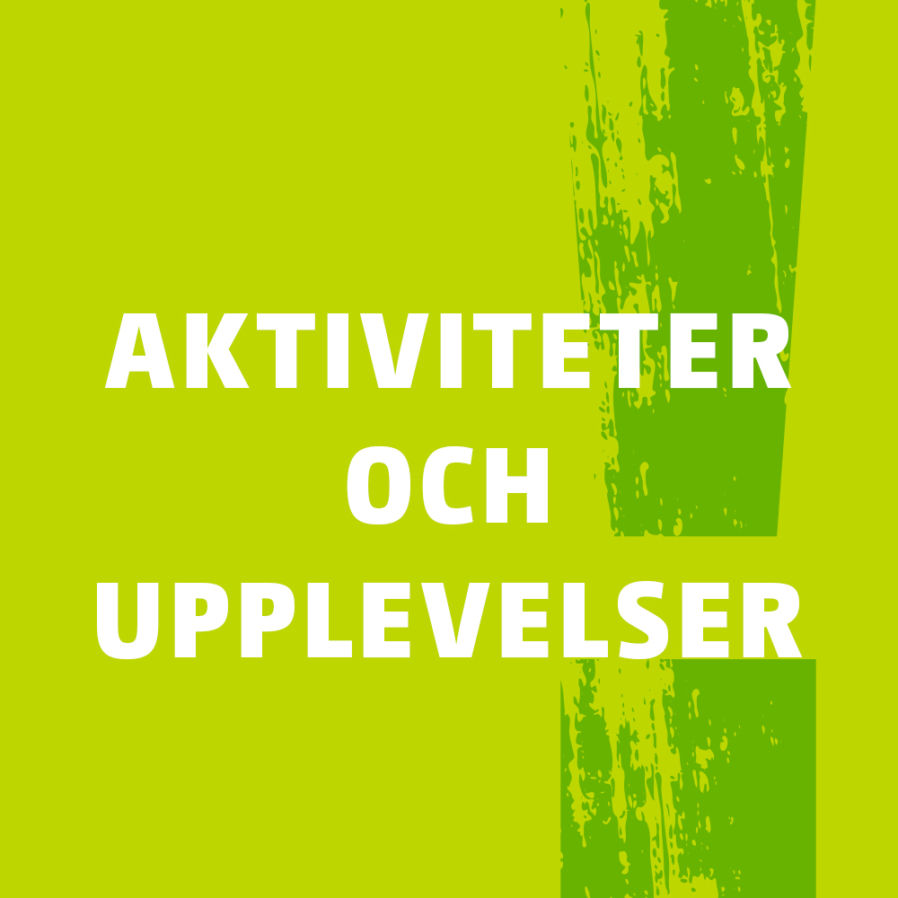 Banner, som leder till sidan Aktiviteter och upplevelser.