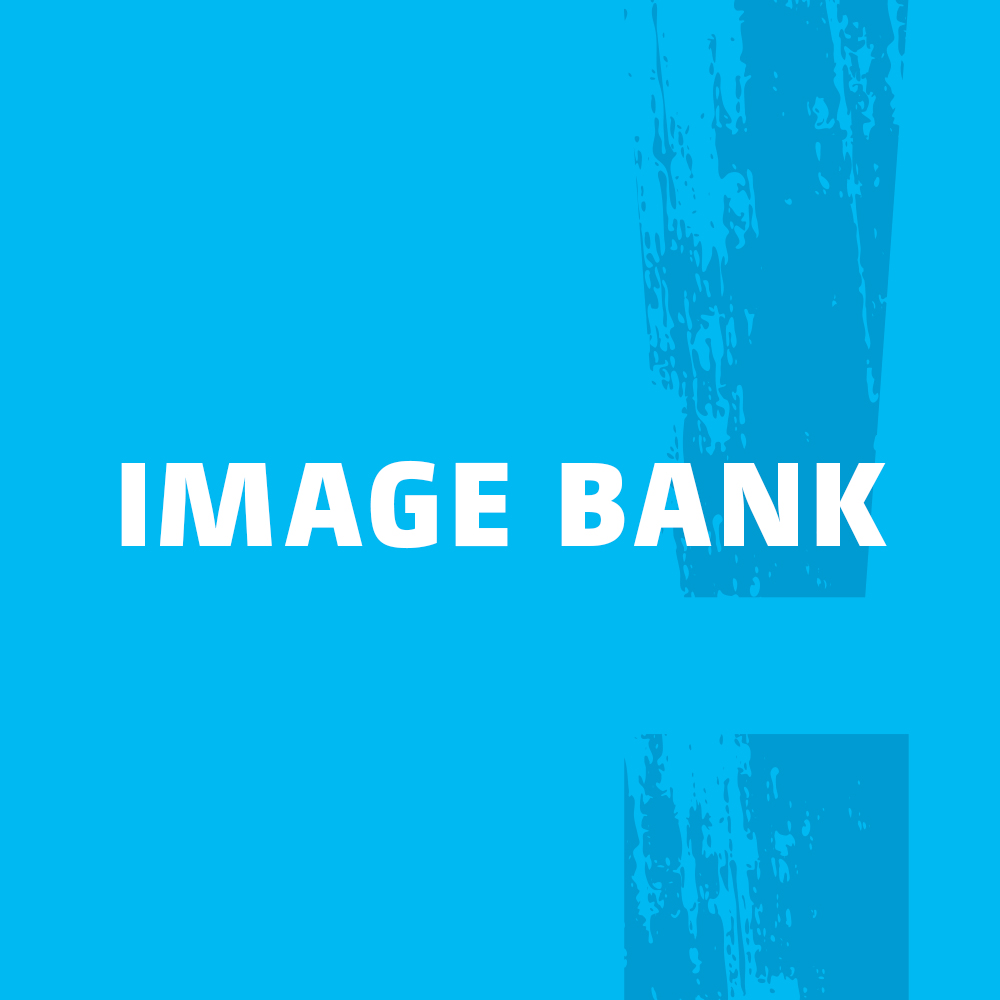 Banner which redirects to the Image bank page.