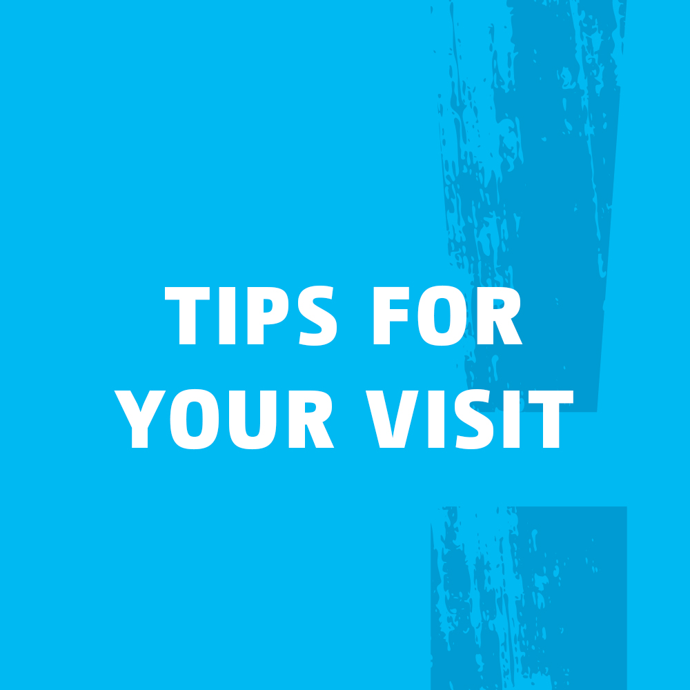 Banner which redirects to the Tips for your museum visit page.